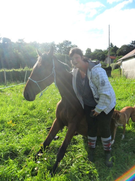 3 chevaux: 3 amours <3<3<3 37626210