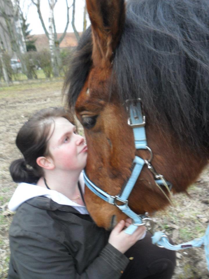 3 chevaux: 3 amours <3<3<3 52308710