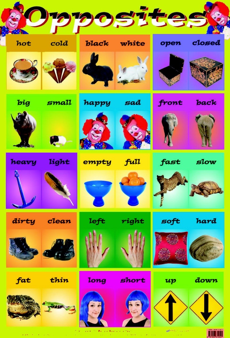 vocabulary - VOCABULARY - Antonym + List of Opposites  Opposi11