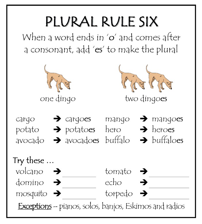 PLURAL RULES Plural12