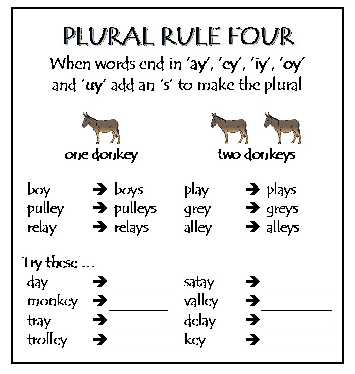 PLURAL RULES Spelli11