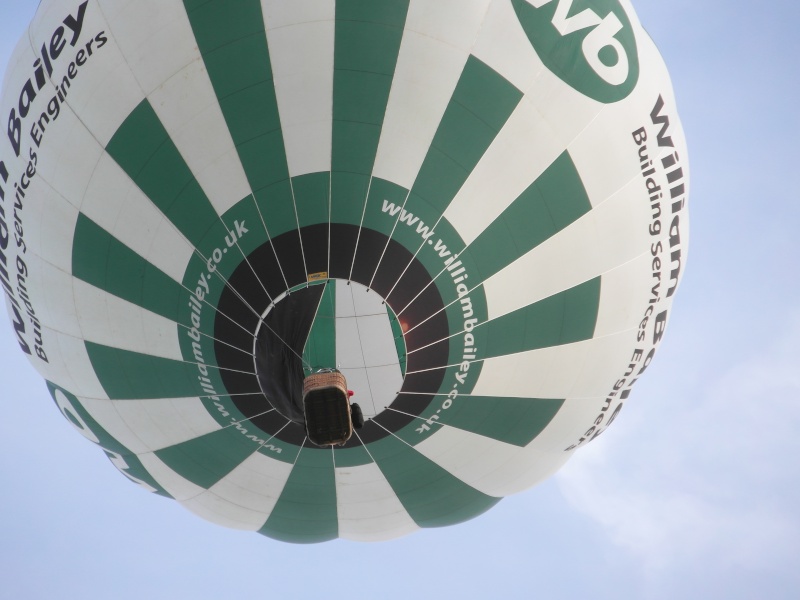 A hot air balloon at our camping weekend. Sam_0118