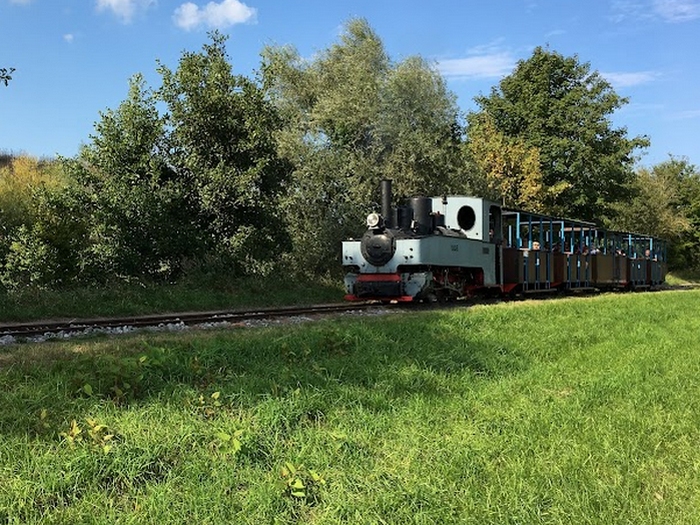 Saint Amand les Eaux, le petit train de la Scarpe  - Page 5 Marcel16