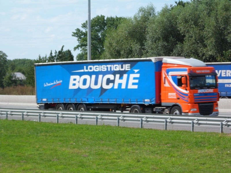 Bouché (Phalsbourg)(57)(groupement Flo) Sam_0933