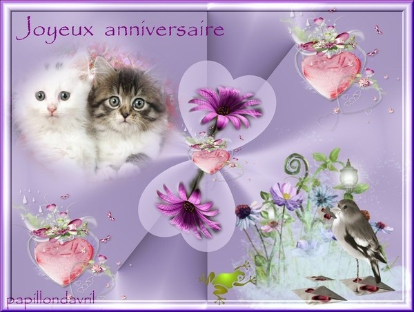 JOYEUX ANNIVERSAIRE MAGIE Annive11