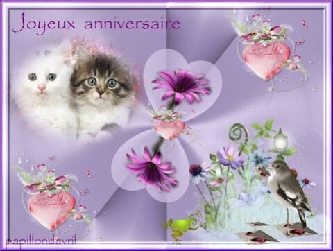 Joyeux Anniversaire Magie Joyeux Anniversaire Magie
