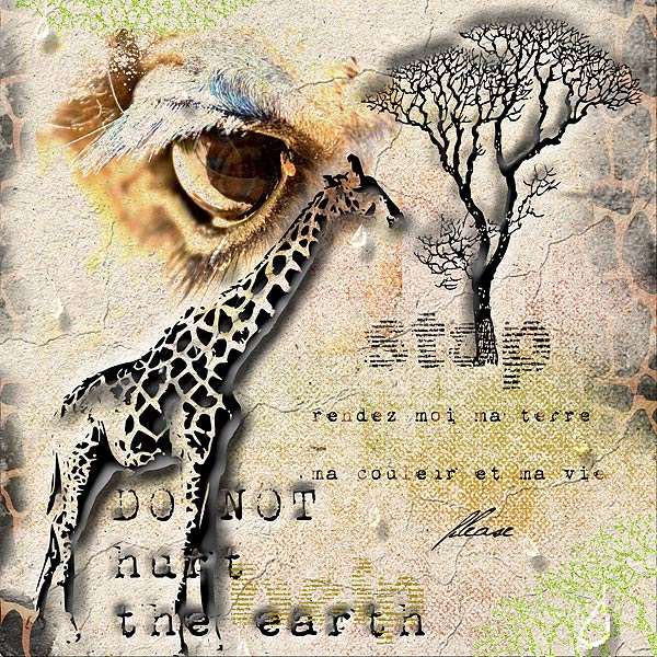 La galerie de JUILLET - Page 3 Girafe10