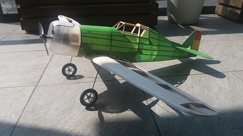 New Baby Bee project - Fokker D.XXI 20190718