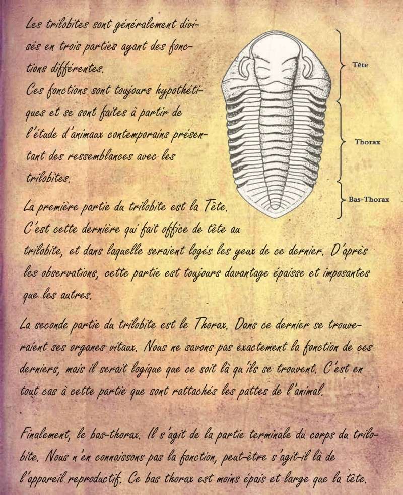 [BIO] Les Trilobites, par Raedric Stornfeld Trilob14