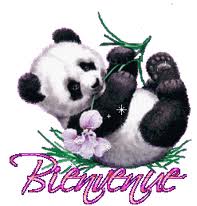 Présentation de Titeplume Panda10