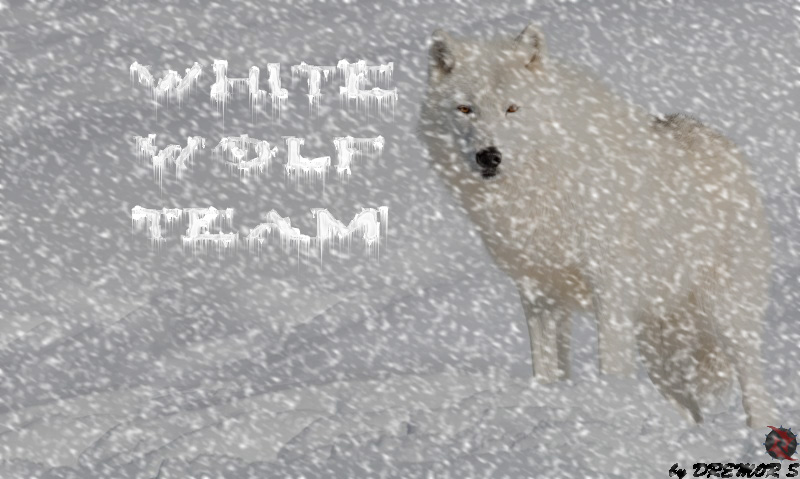 White wolf team [FERMER] Arctic15