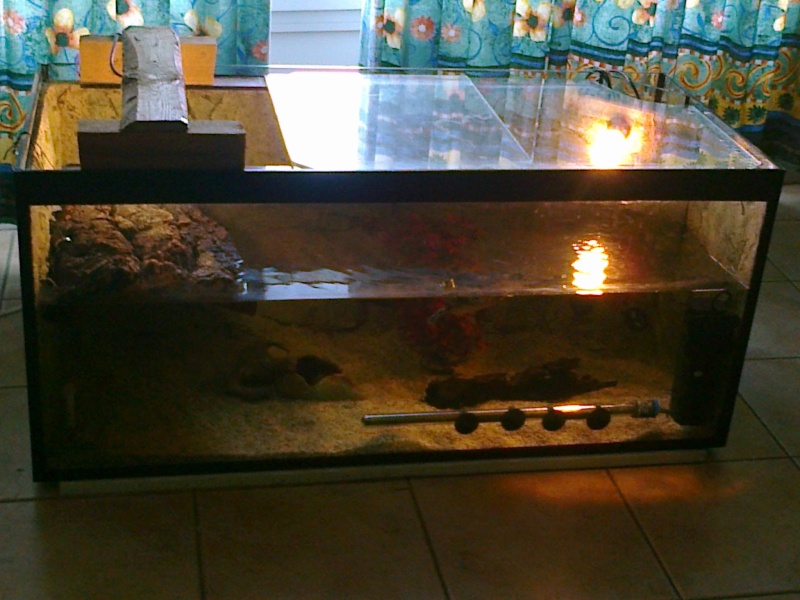 aquarium Aquari10