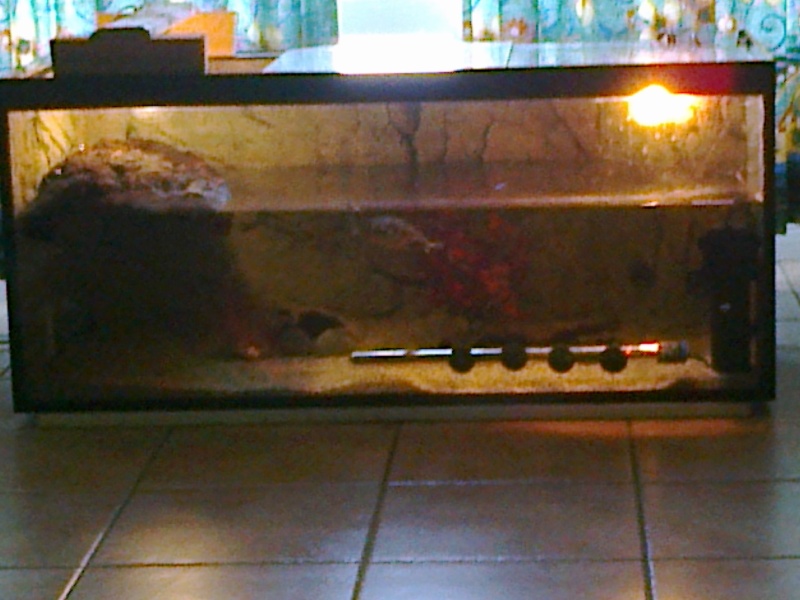 aquarium Aquari12