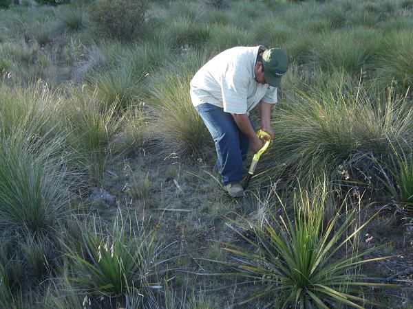 FOTOS- Expedición en busca de reliquias!!!  3910