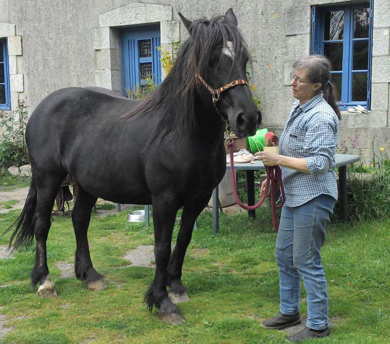 d'un petit coin de la Bretagne .... Naomi10