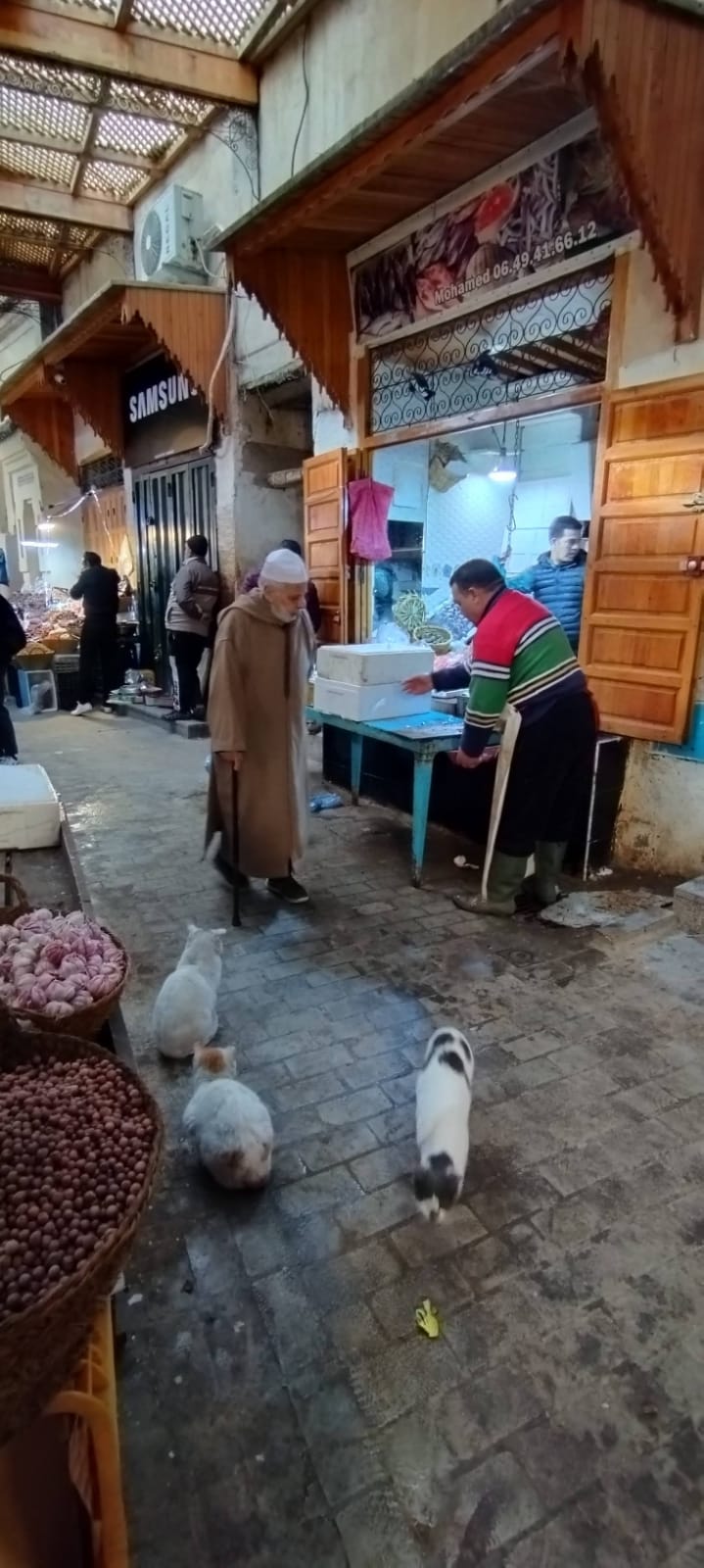 Changement de décor :  bienvenu au Maroc du Nord  Img-2019