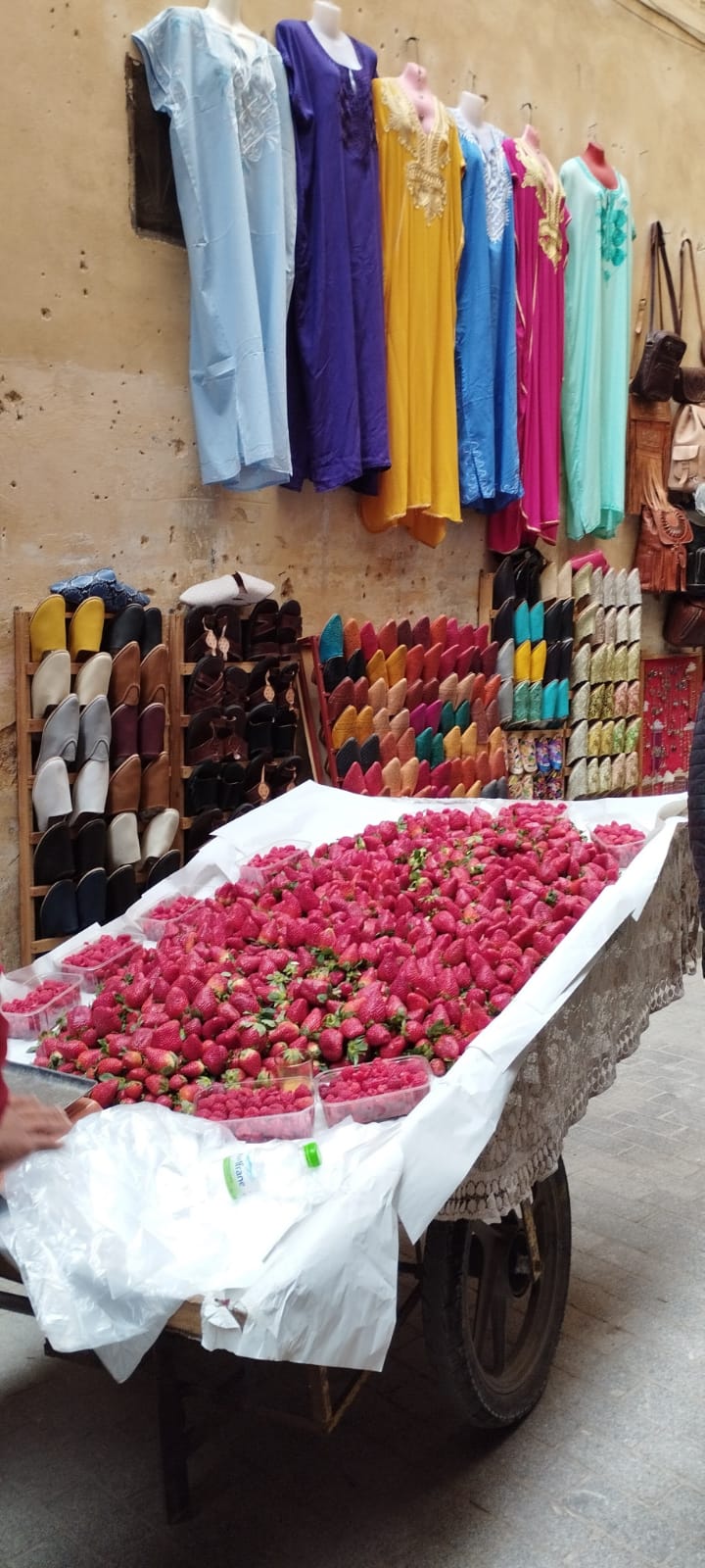 Changement de décor :  bienvenu au Maroc du Nord  Img-2025