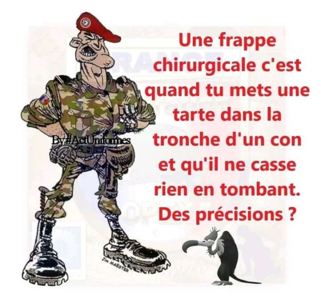 humour & fantaisie - Page 2 25014810