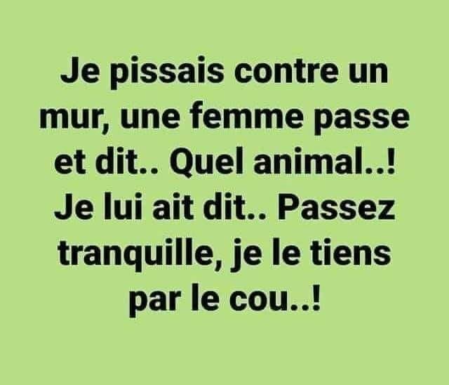 humour & fantaisie - Page 3 27600210