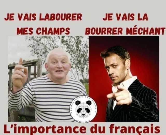 humour & fantaisie - Page 18 29584611