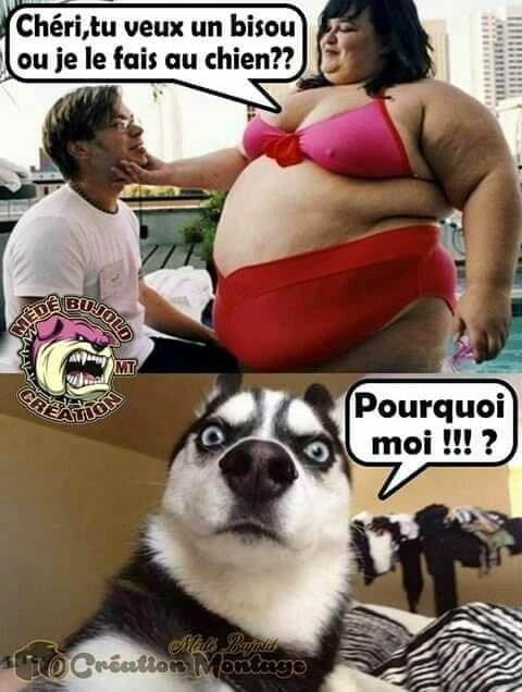 humour & fantaisie - Page 30 32645910
