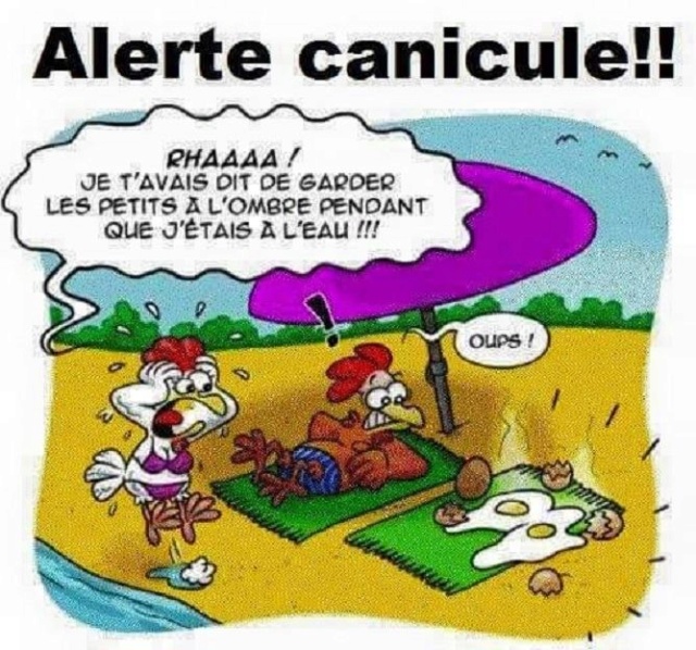 Canicule ; buvez beaucoup !!! - Page 3 36287210