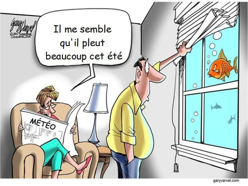 humour & fantaisie - Page 3 36620910