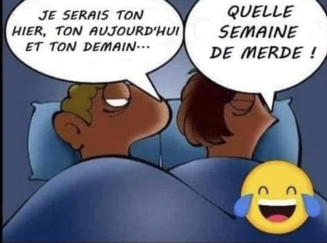 humour & fantaisie - Page 3 36969710