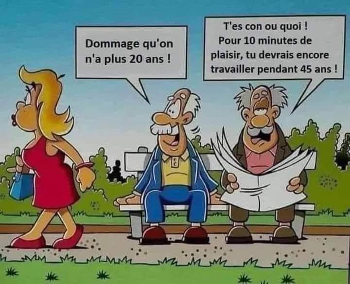humour & fantaisie - Page 3 37682710