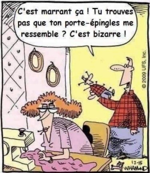 humour & fantaisie - Page 12 43466410
