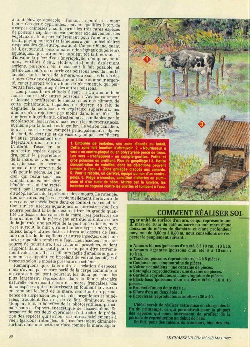 creuse etang - Page 2 1988_011