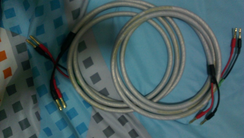 Chord Carnival Silverscreen Speaker Cable (Sold) Imag0810
