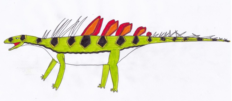 Suditergosaurus A-910