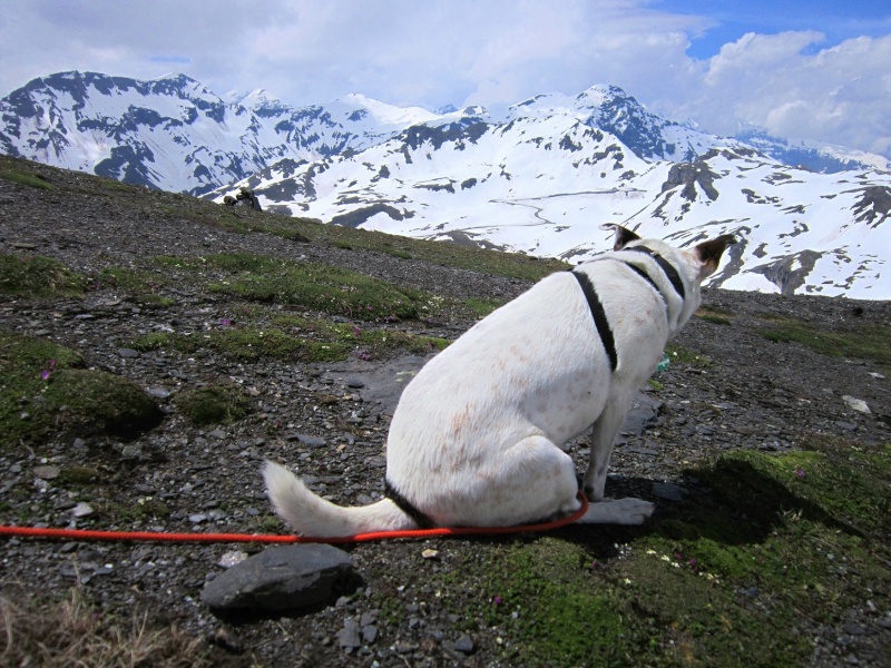 Tour: Carla bei viel Schnee am Schareck (2608m) Schare25