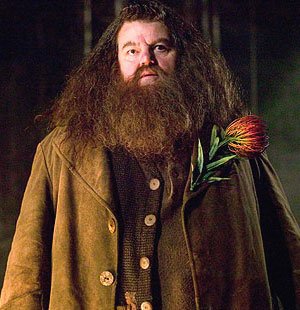 Candidature Valaraukar Hagrid10