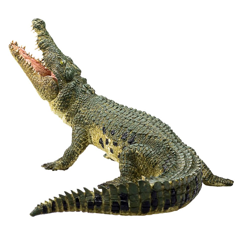 mojo - Mojo 2019 Crocodile 112