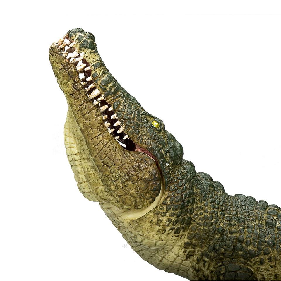 mojo - Mojo 2019 Crocodile 113