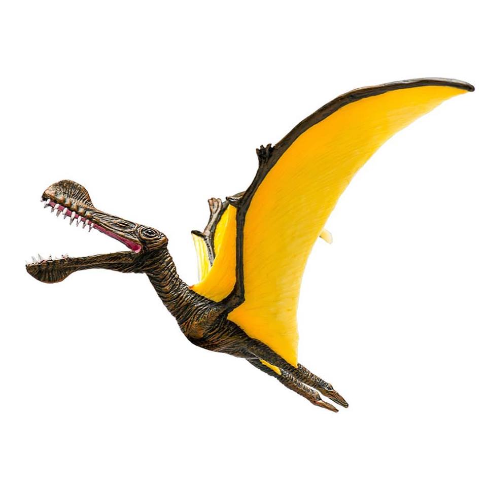 mojo - Mojo 2019 Tropeognathus 114
