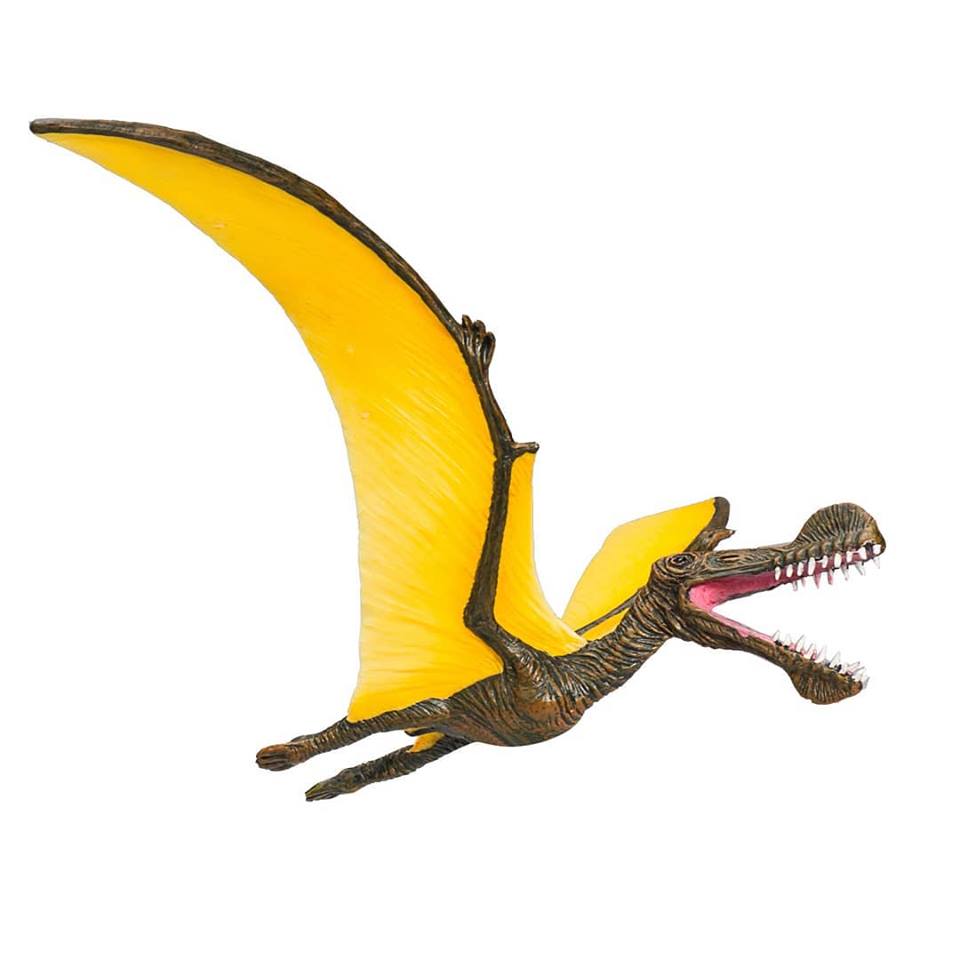 mojo - Mojo 2019 Tropeognathus 115