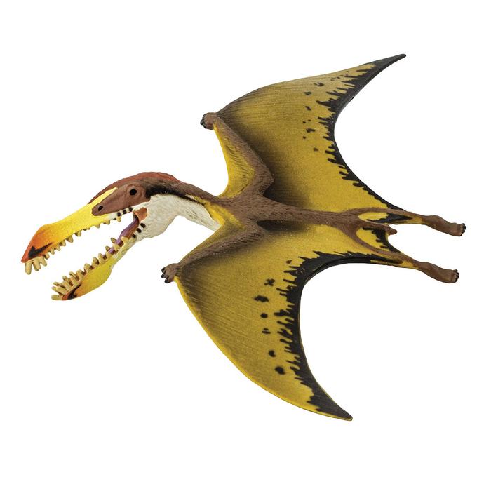 mojo - Mojo 2019 Tropeognathus 118
