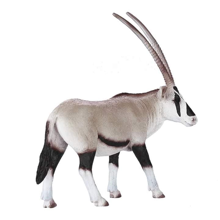 mojo - Mojo 2019 Arabian Oryx 122