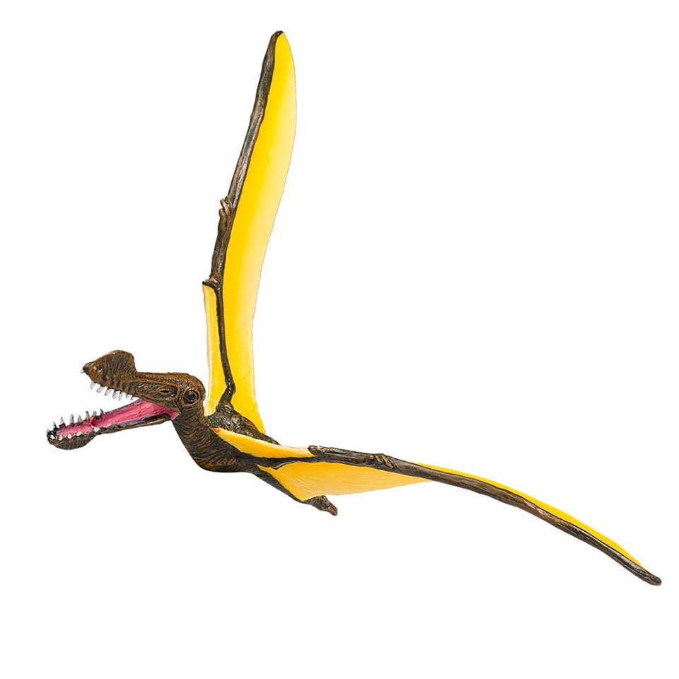 mojo - Mojo 2019 Tropeognathus 212