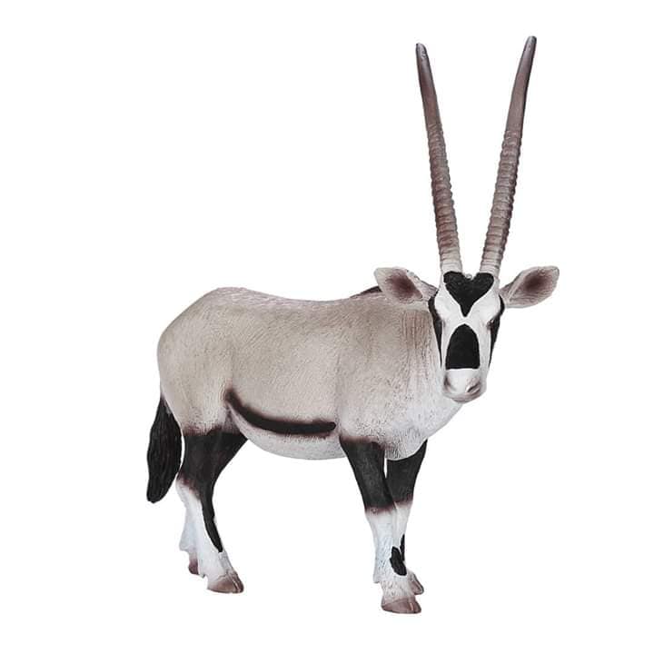 mojo - Mojo 2019 Arabian Oryx 217