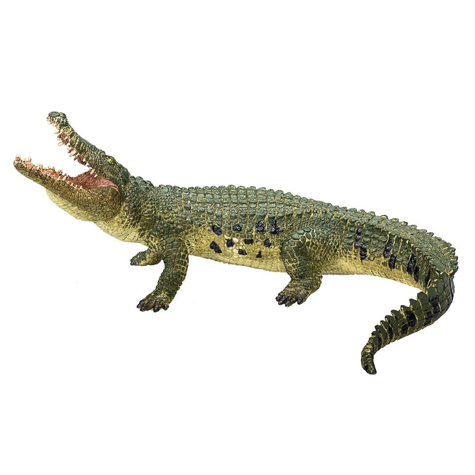 mojo - Mojo 2019 Crocodile 310