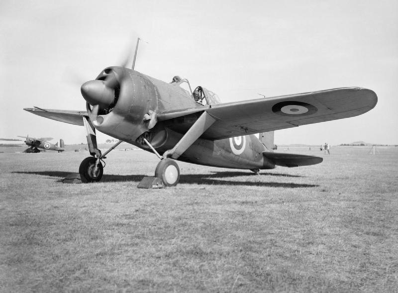 BREWSTER F2A BUFFALO (Terminé) Brewst35