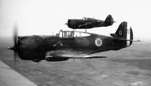 BREWSTER F2A BUFFALO (Terminé) Curtis14