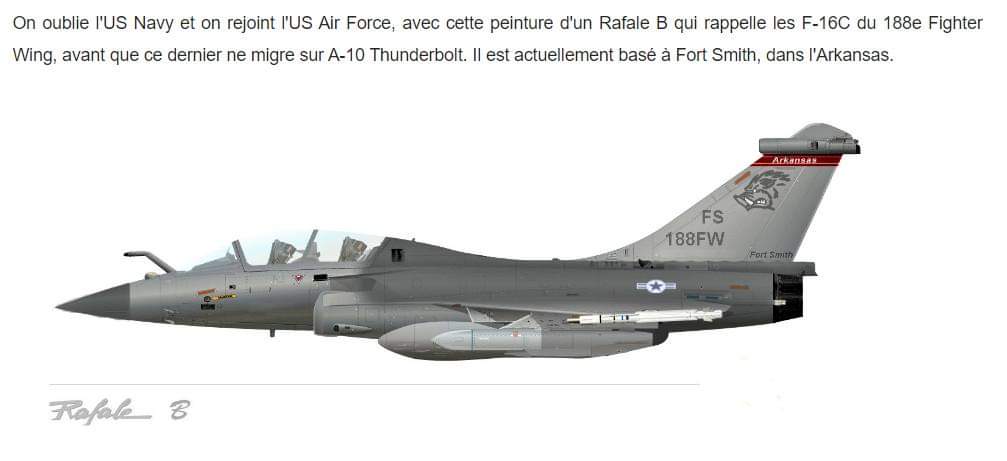 [Article] DASSAULT RAFALE (Terminé) - Page 6 Fb_img12