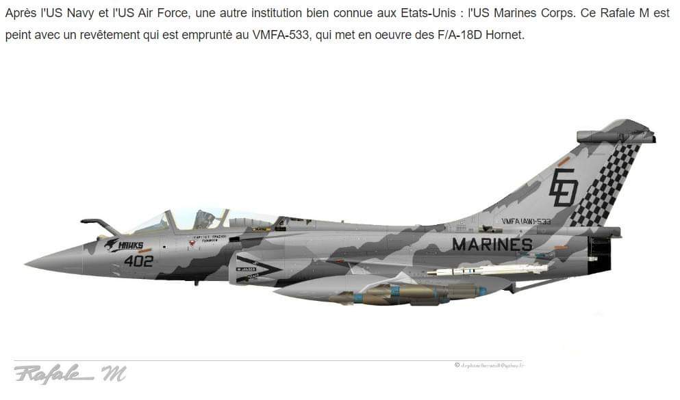 [Article] DASSAULT RAFALE (Terminé) - Page 6 Fb_img13