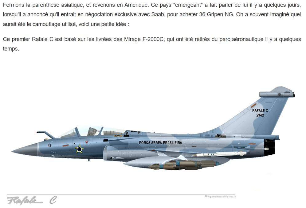 [Article] DASSAULT RAFALE (Terminé) - Page 6 Fb_img15