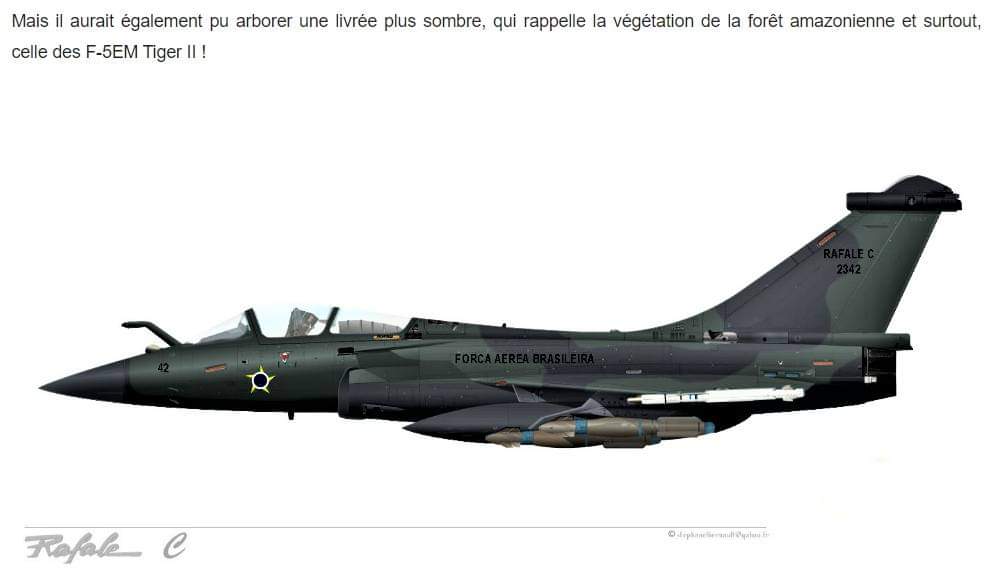 [Article] DASSAULT RAFALE (Terminé) - Page 6 Fb_img16